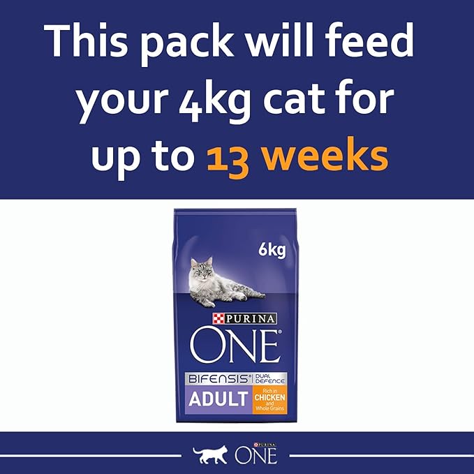 PURINA ONE Chicken Dry Cat Food 6kg