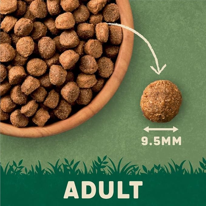 Harringtons Complete Dry Adult Dog Food Lamb & Rice 15kg - Made with All Natural Ingredients