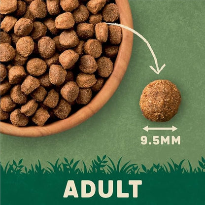 Harringtons Complete Dry Adult Dog Food Lamb & Rice 15kg - Made with All Natural Ingredients
