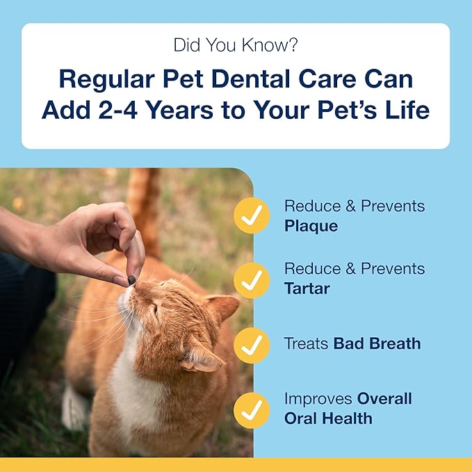 ProDen PlaqueOff Dental Bites for Cats Tartar & Bad Breath Remover 100% Natural Teeth Cleaner and - Improve Overall Oral Health - Salmon Flavor 60g